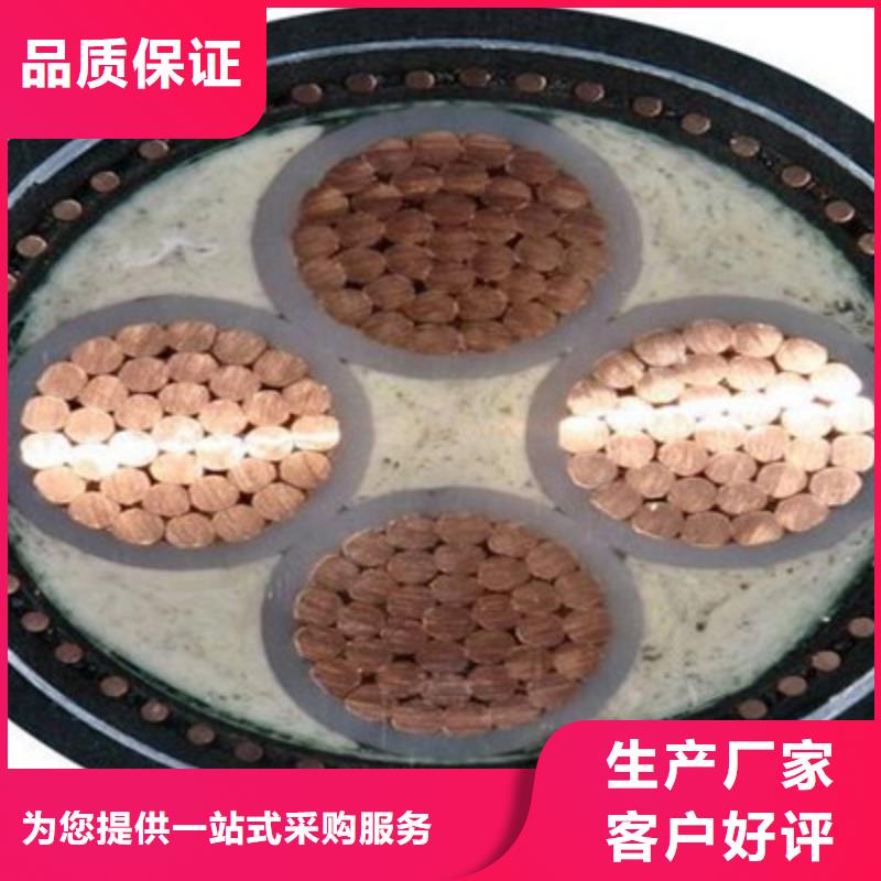 廊坊葫芦电缆RVVC 厂家图片