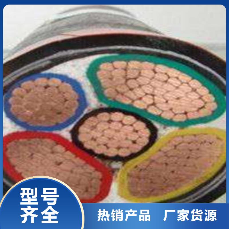 采购铠装计算机电缆WDZ-HYYDP23-FY【无中间商】厂家直营