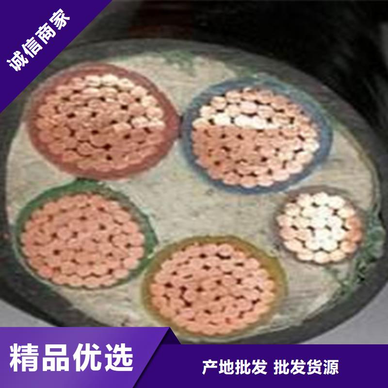 质量合格的耐火屏蔽软芯控制电缆生产厂家当地厂家