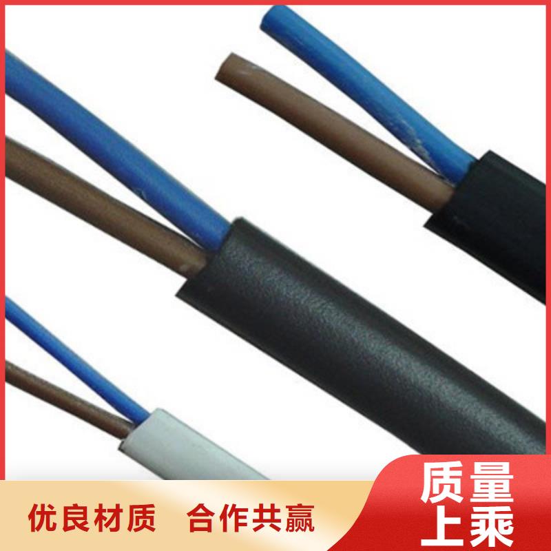 诚信为本SZVV22-8-6厂家同城生产厂家
