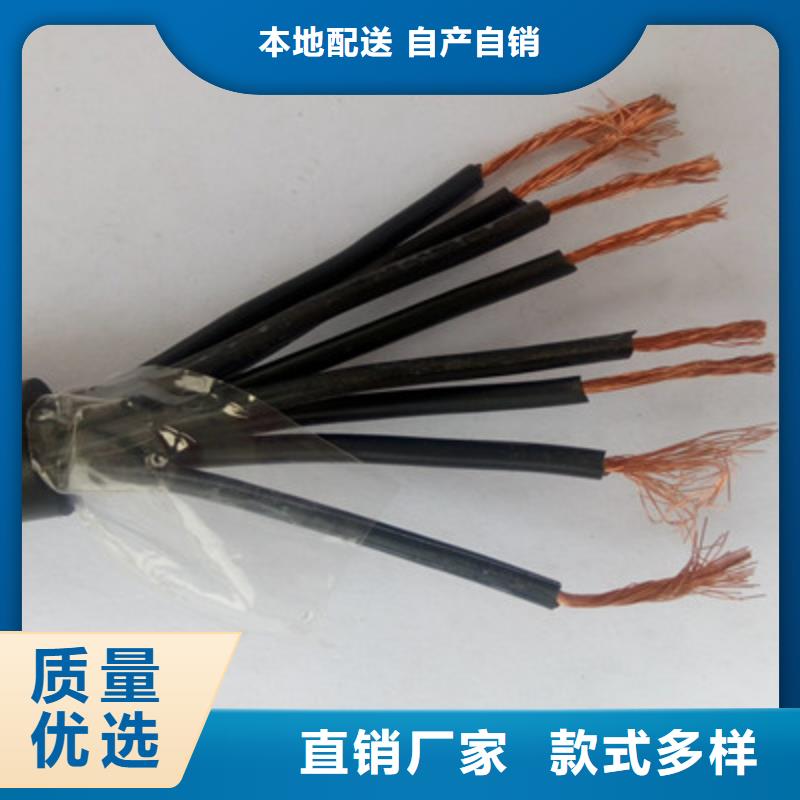 特种电缆_屏蔽电缆多行业适用同城公司