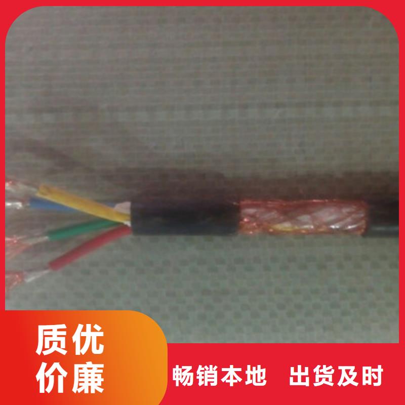 定制RVSP22-2X1.5铠装2芯电缆的供货商同城生产厂家