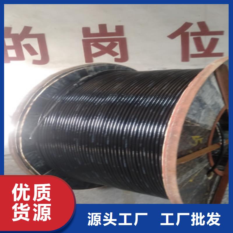 特种电缆控制电缆生产经验丰富厂家