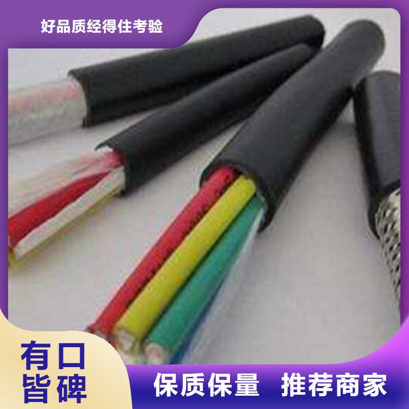 ZR-BV-3X2.5期待您的咨询精致工艺
