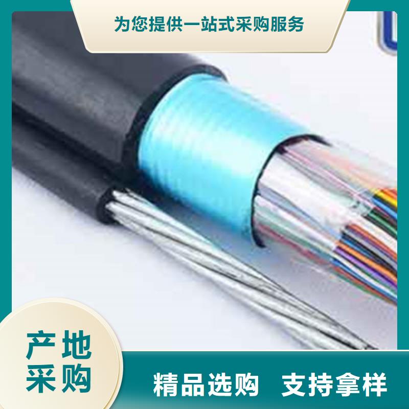 通信电缆屏蔽电缆品质之选同城制造商