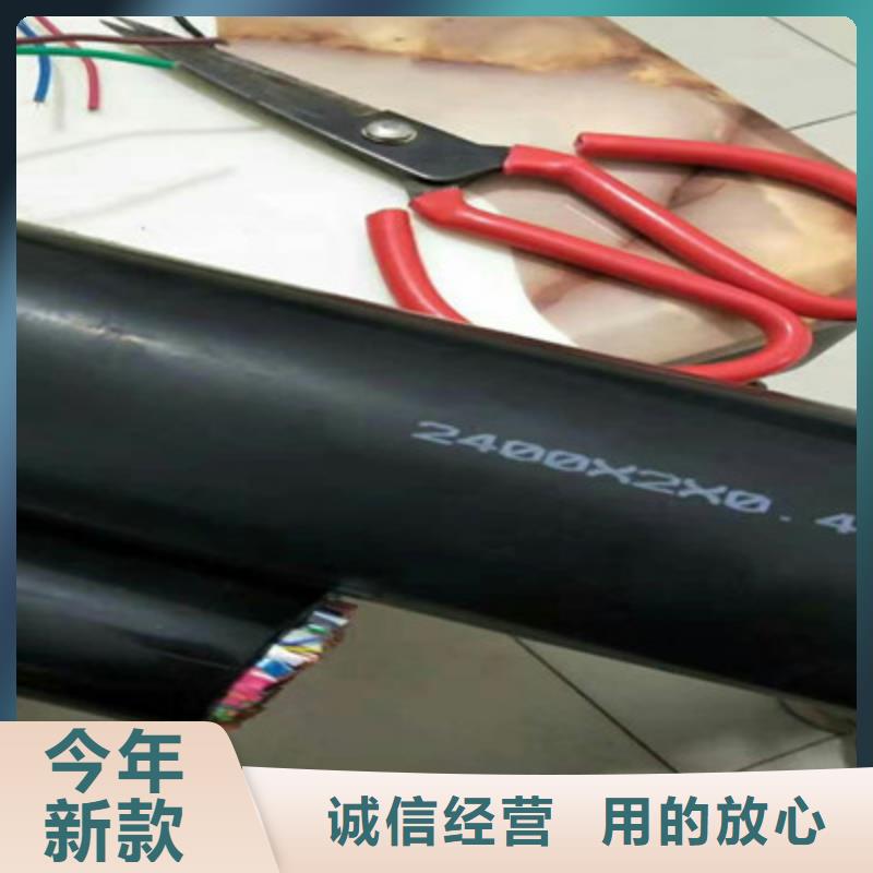 YSPT-4通讯电缆实体大厂价格实在
