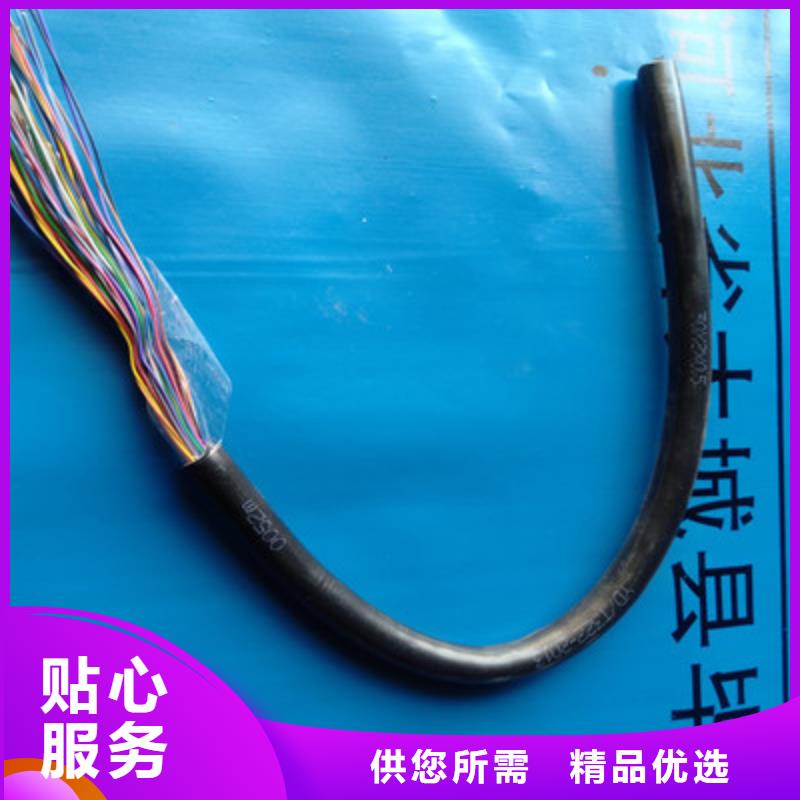 通信电缆【信号电缆】品质有保障库存量大