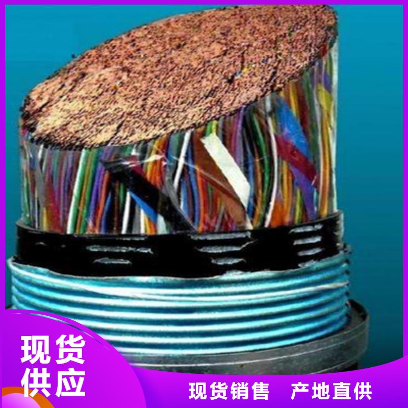 铠装DP通讯线制造厂家当地经销商