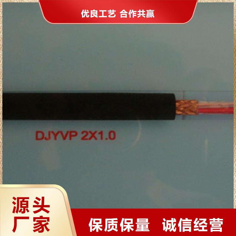 低烟无卤计算机电缆WDZ-DJYJVP3-226X2X1.5当地生产商