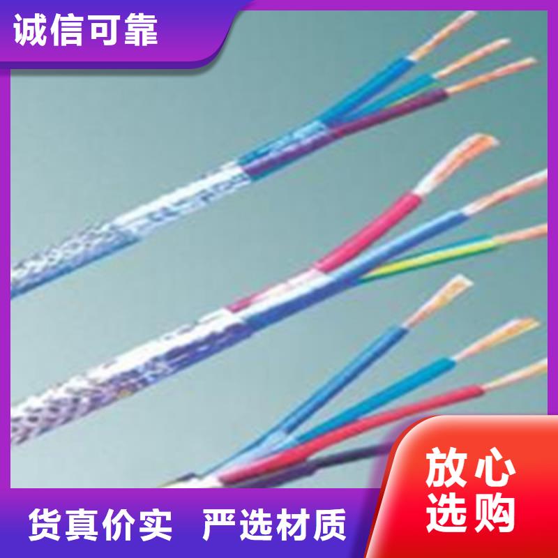 阻燃计算机电缆ZR-DJYJVPR24X2X1.5同城公司