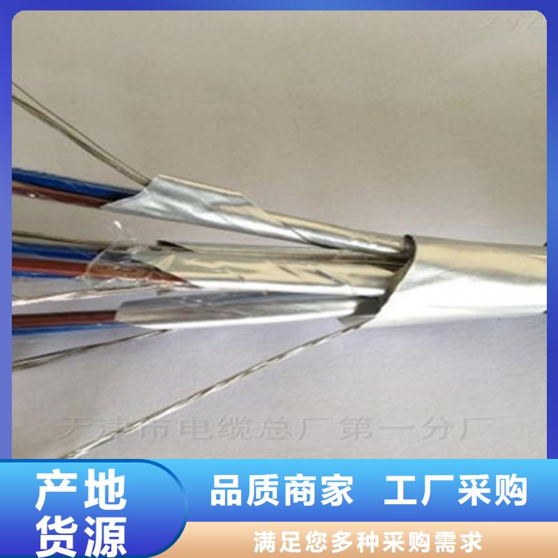 铠装计算机电缆HBIYP2YVZ-III5X2X1.5同城厂家