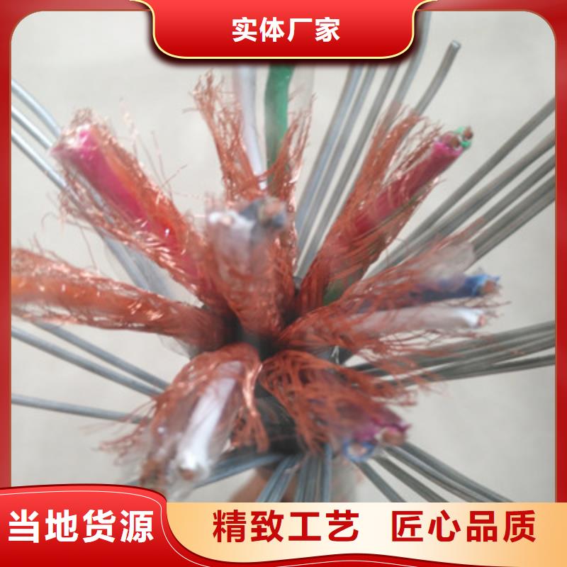 计算机电缆-屏蔽电缆厂家技术完善品质服务