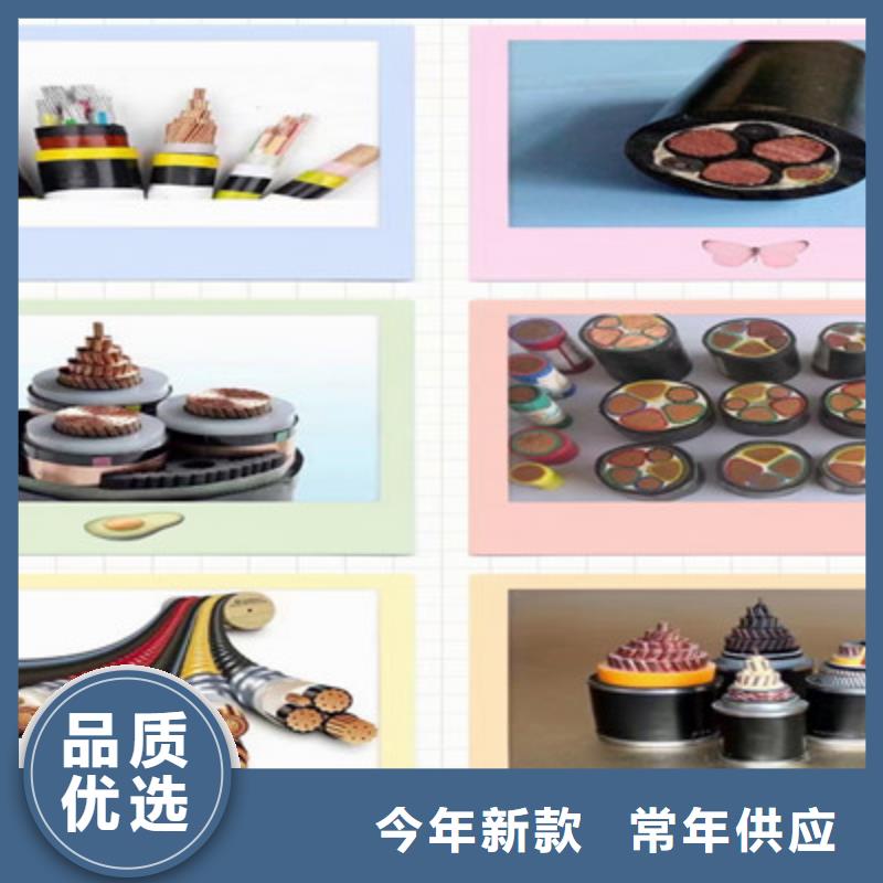 注重阻燃计算机电缆ZR-DJYPVP质量的厂家本地制造商