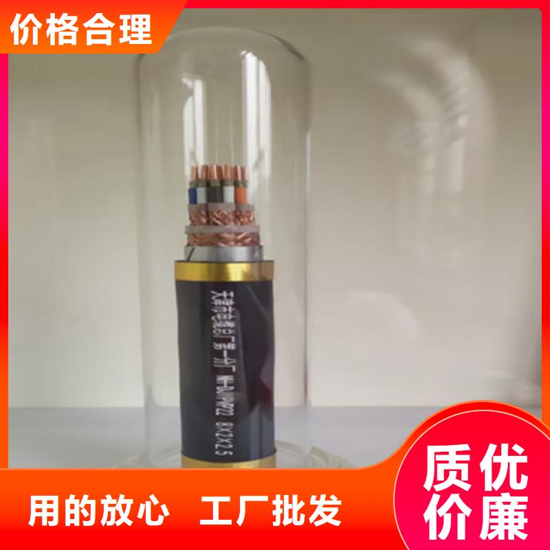 NH-DJYVP3R耐火计算机电缆实力商家精选优质材料