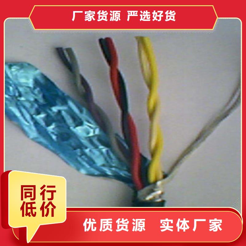 耐火计算机电缆NH-DJYVP316X2X0.75当地货源