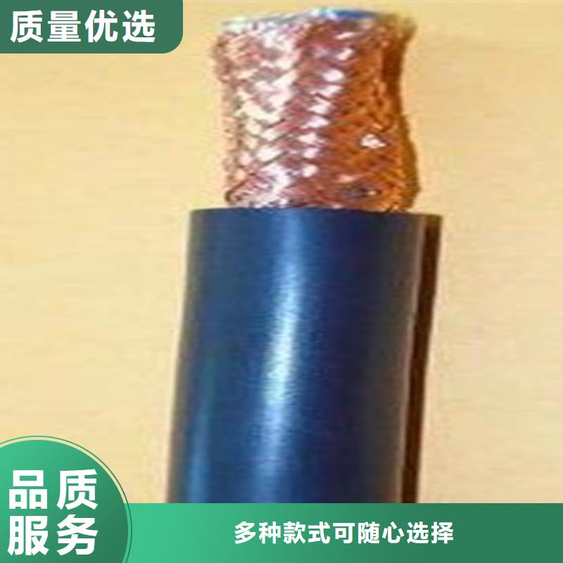 2025源头厂家#计算机屏蔽电缆JYPV-ZB#专业定制本地制造商