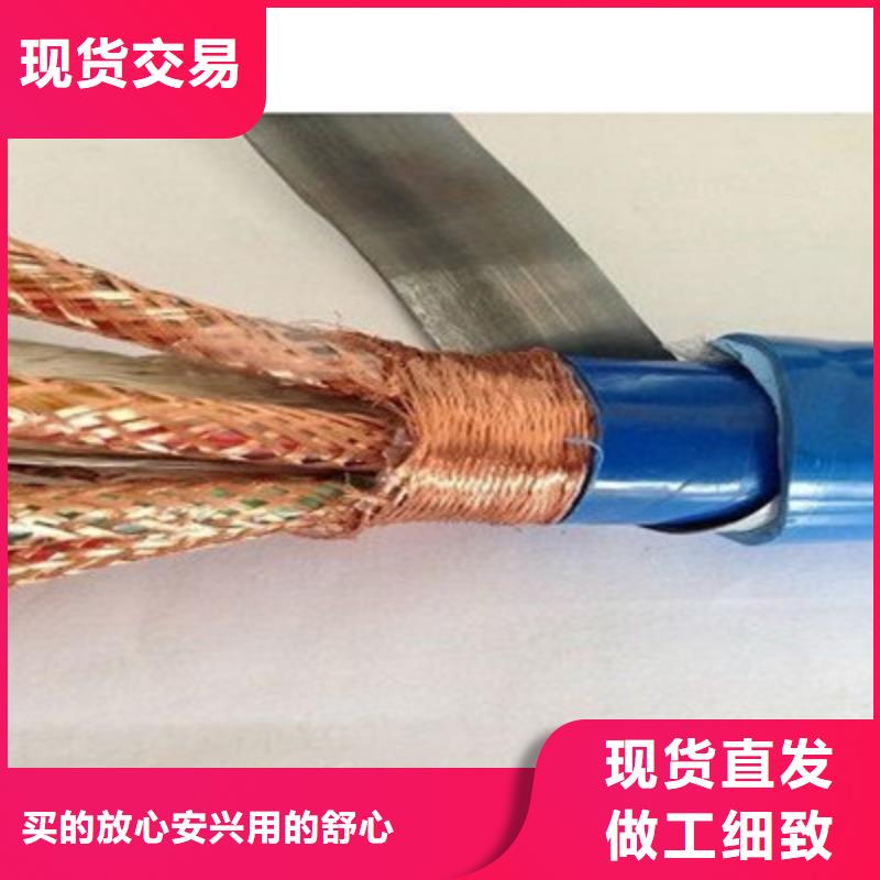 低烟无卤计算机电缆WDZ-ZRA-DJYJP3VP3-9214X2X0.75工厂认证