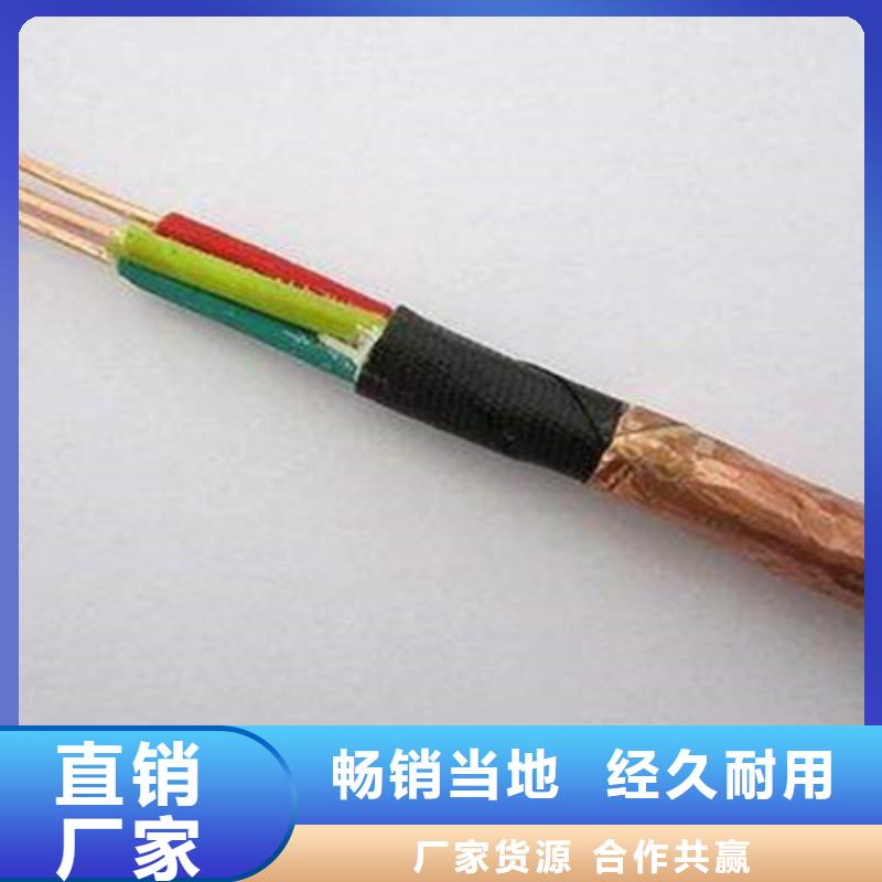 计算机屏蔽电缆DJYVP25X2X0.75产地批发