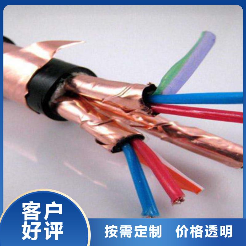 DJYJVP2计算机屏蔽电缆1X2X1.5本地品牌