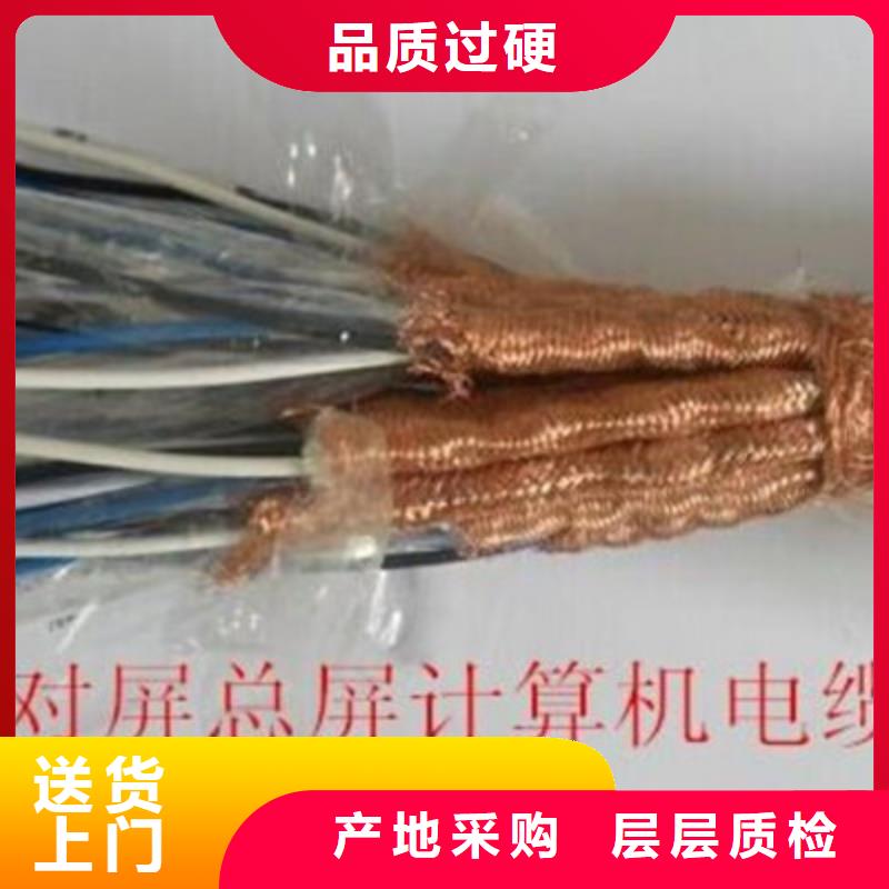 【计算机电缆】屏蔽电缆性价比高厂家实力雄厚