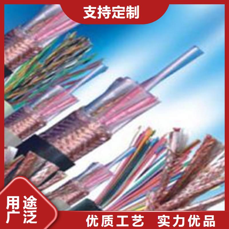 计算机电缆【信号电缆】优质工艺严格把控质量