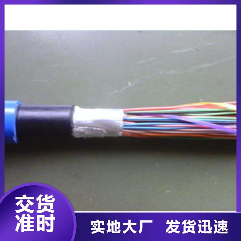 20对矿用通讯电缆300X2X0.5支持定制加工