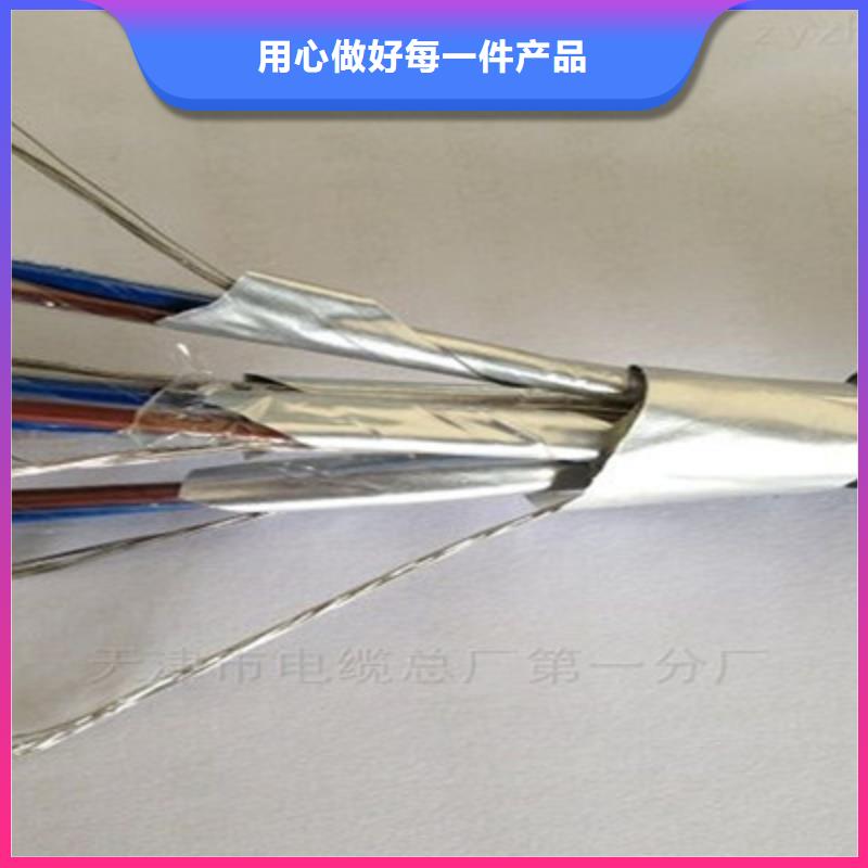 耐高温电缆通信电缆厂家批发价做工细致
