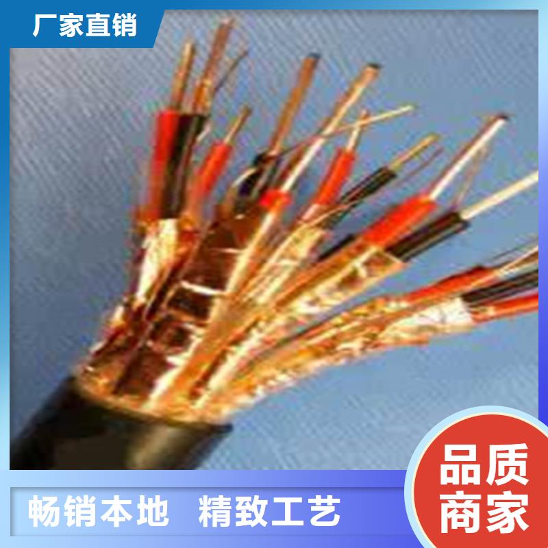 耐高温DJFPFP计算机线缆7X2X0.5规格齐全
