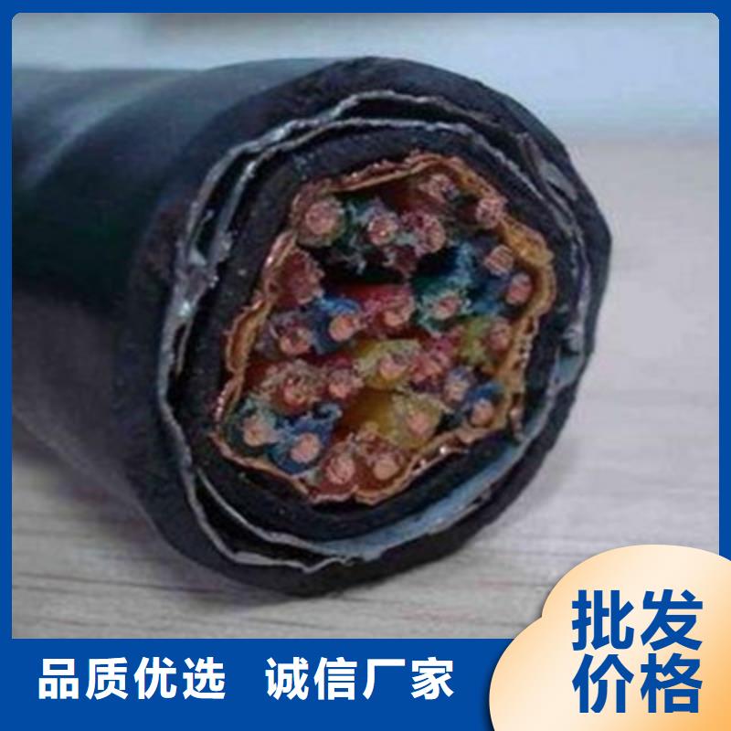 30芯信号电缆全国发货贴心服务