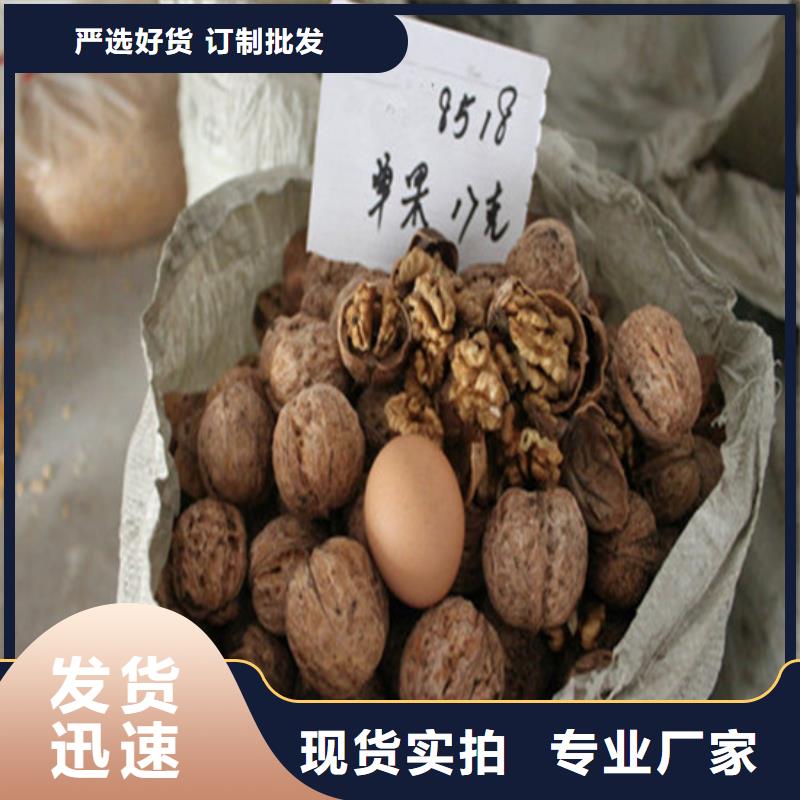 核桃苗苹果苗基地服务至上多年厂家可靠
