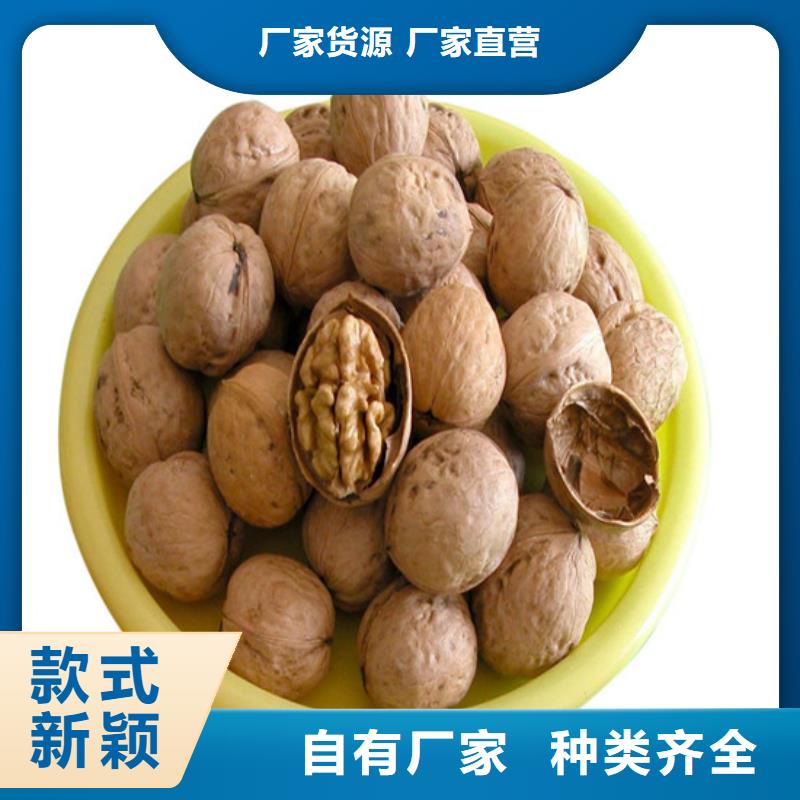 【核桃苗蓝宝石葡萄苗快速物流发货】全品类现货
