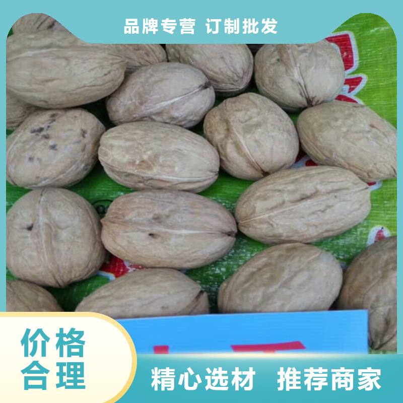 核桃苗【草莓苗价格】质量优选本地制造商