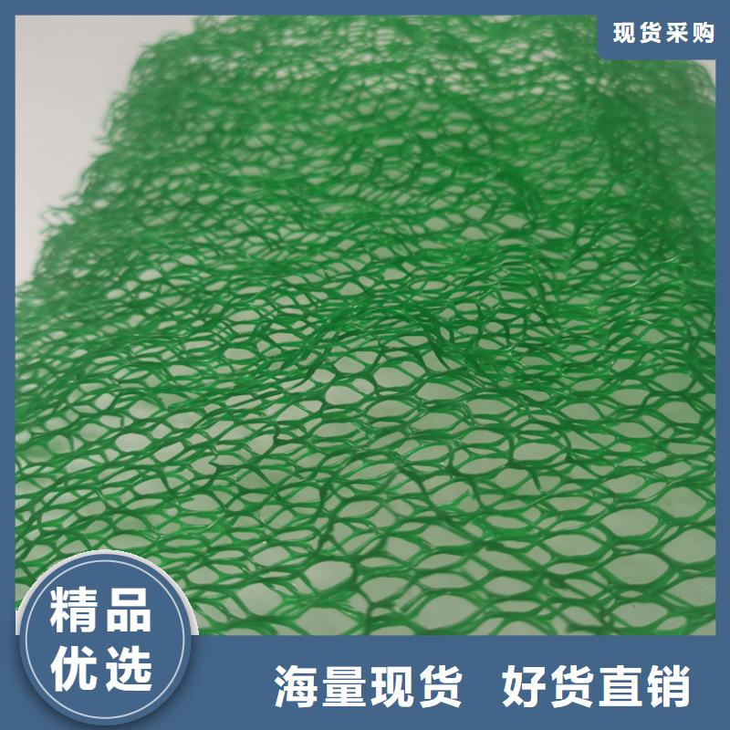 EM5三维植被网指导施工当地供应商