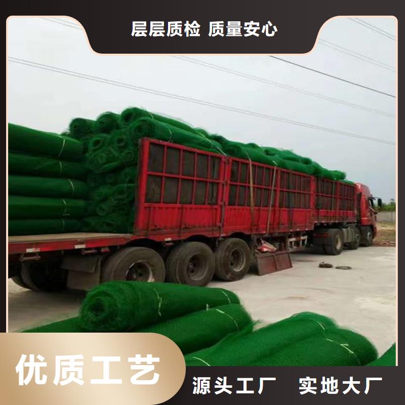 三维植被网防水毯真材实料诚信经营品质做服务