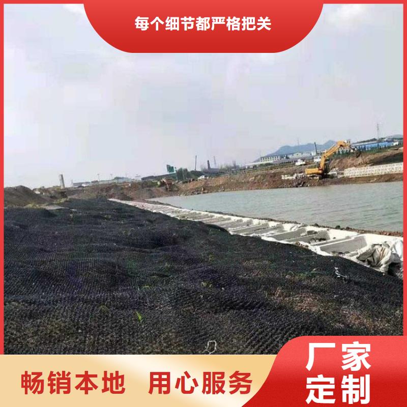 水土保护毯防水排水板实力才是硬道理同城生产商