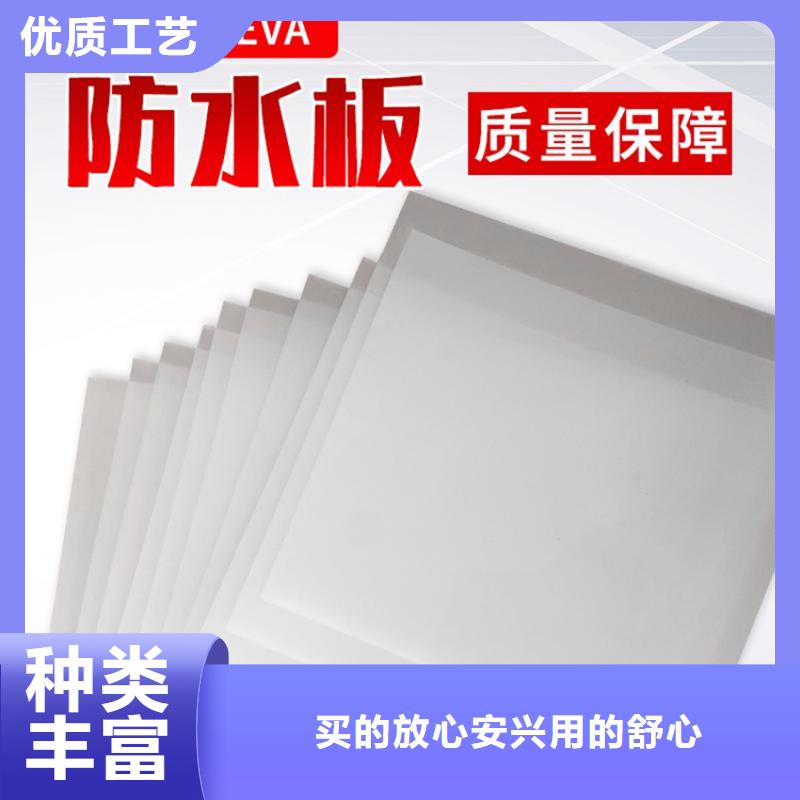 EVA防水板指导施工同城厂家