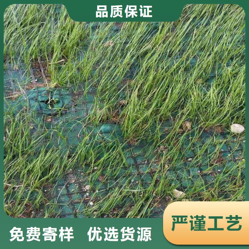 椰丝毯,土工布价格地道发货及时