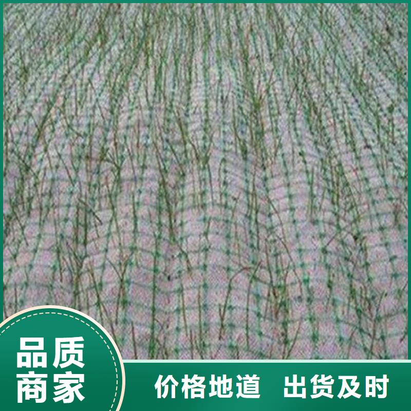 椰丝毯【防草布】好品质用的放心市场行情