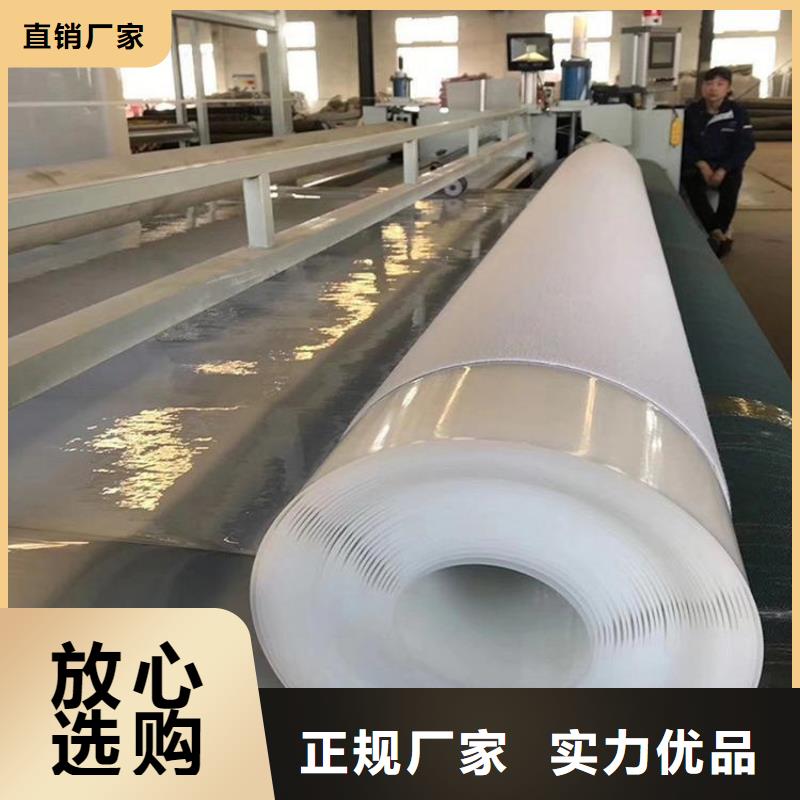 防水板_土工格栅本地厂家值得信赖本地制造商