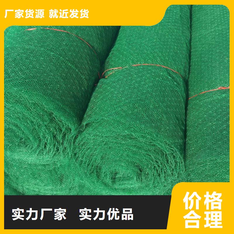 【三维植被网】土工格室品牌企业品牌专营
