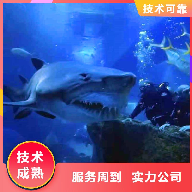潜水员水下检修价格联系我就对了-潜水选择浪淘沙行业口碑好