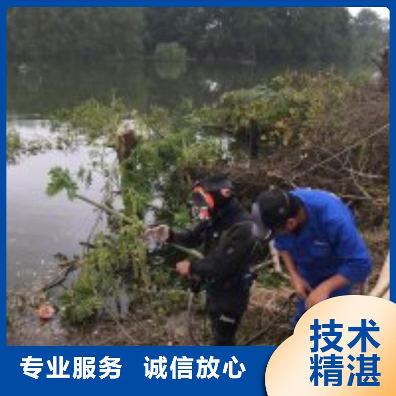 销售蛙人水下打捞-东泓潜水工程公司信誉保证