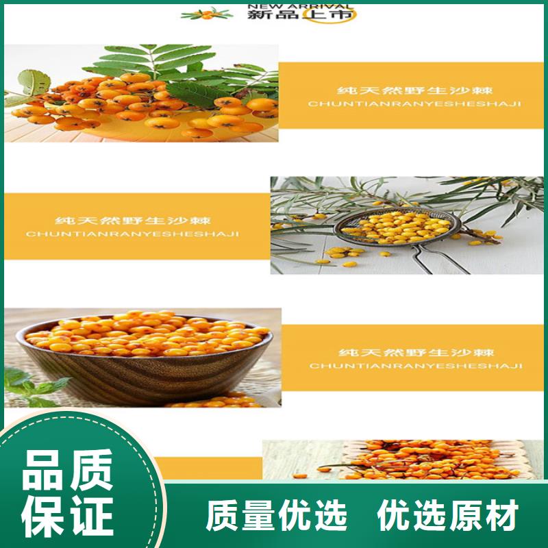 调理价格公道货源直供