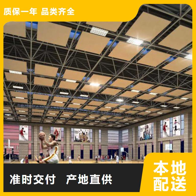 广东省深圳市石井街道羽毛球馆体育馆声学改造方案--2025近方案/价格一手货源源头厂家