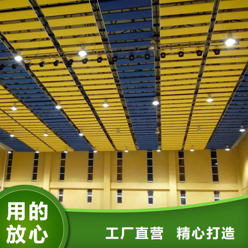 集团公司体育馆声学改造当地公司