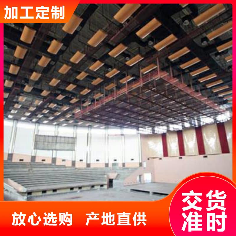 自治区体育馆声学设计改造公司同城厂家