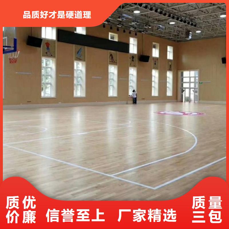 壁球馆体育馆吸音改造本地厂家值得信赖