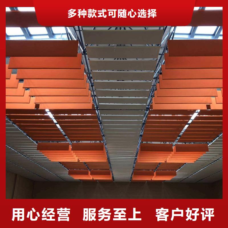 沧县多功能体育馆声学改造公司--2025近方案/价格多种优势放心选择