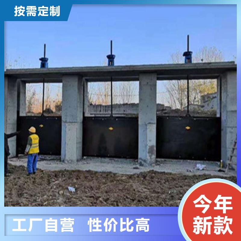 单向铸铁闸门-单向铸铁闸门专业品质当地供应商