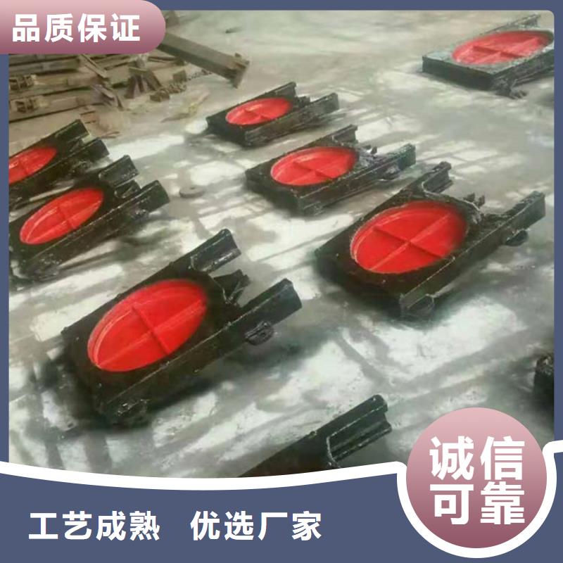 平面铸铁闸门安装指导来图定制